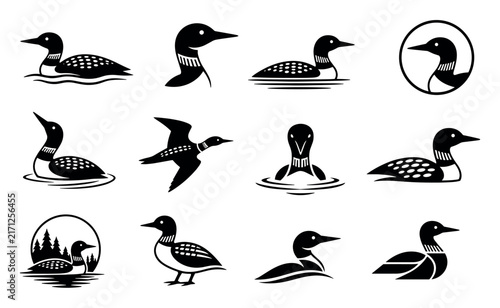 Loon bird vector silhouettes and icons set featuring various poses of the common loon swimming and flying for wildlife logo design