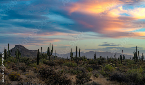Wide Ratio Arizona Desert Sunrise Landscape With Cactus And Mountains