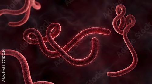 Microscopic View of Ebola Virus Filovirus Particles Floating in a Dark Red Fluid Environment