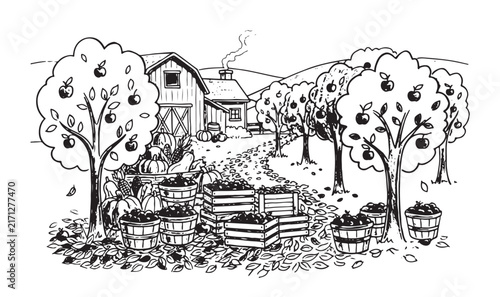 Autumn orchard harvest