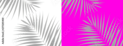 Palm leaf silhouette pattern, gray tropical foliage shapes on white and bright pink backgrounds, for summer prints isolated on a transparent background