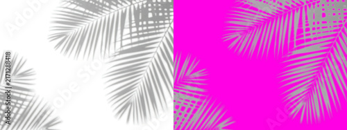 Tropical palm frond silhouette pattern, gray leaf shapes on white and bright pink backgrounds, for summer projects isolated on a transparent background