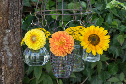 Dahlien, Sonnenblume und Rainfarn in Glasvasen hängend am Kräutertrockner im Sommergarten	
