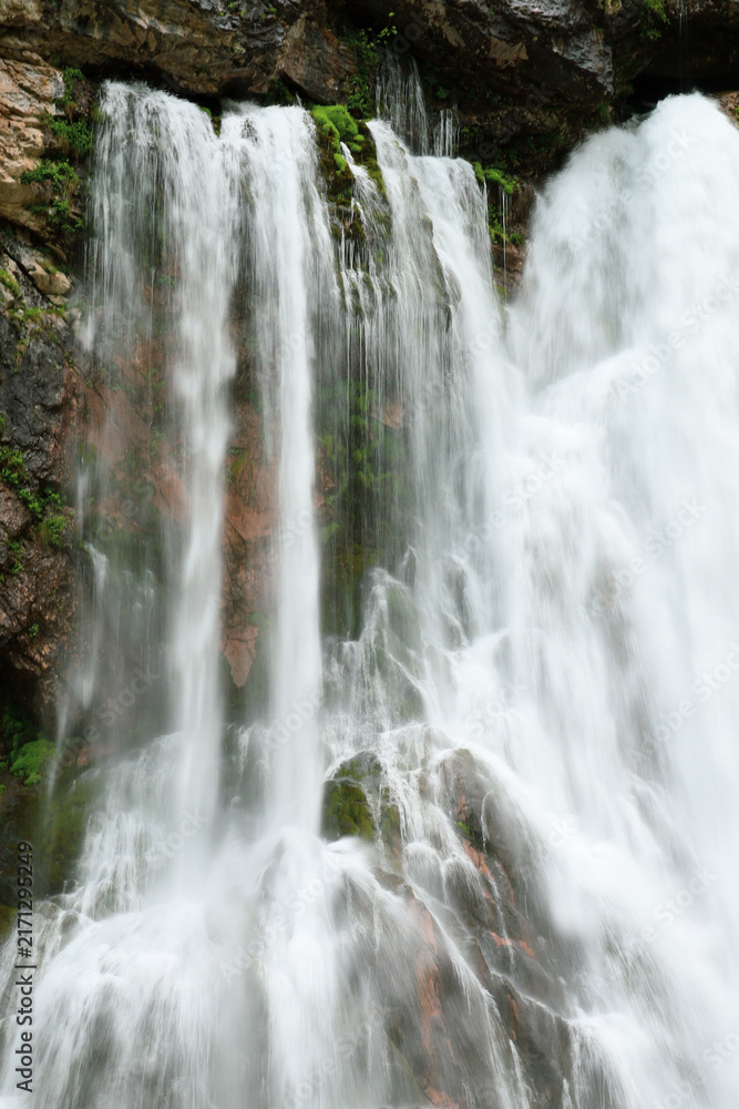 Fototapeta premium waterfall in the forest