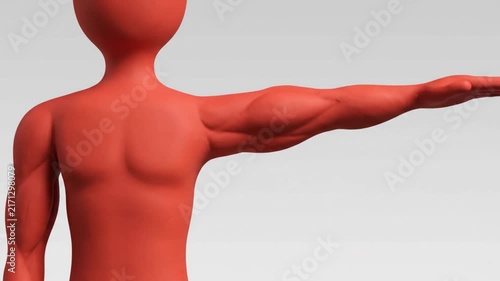 Close-up of a red 3D model of a human torso and arm extended.