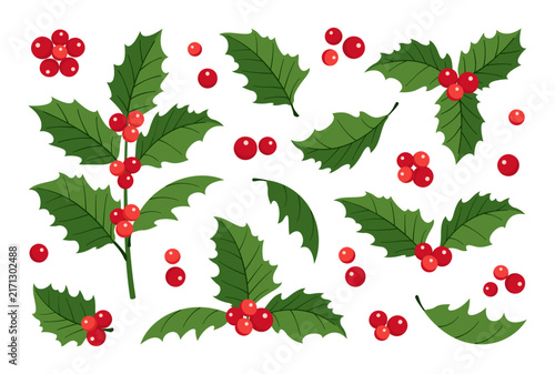 Cute hand drawn Christmas holly berry vector clip art set. Features cartoon green winter leaves and red berries collection. Perfect for holiday sticker design greeting cards and party patterns.