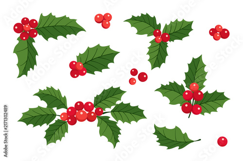Cute hand drawn Christmas holly berry vector clip art set. Features cartoon green winter leaves and red berries collection. Perfect for holiday sticker design greeting cards and party patterns.
