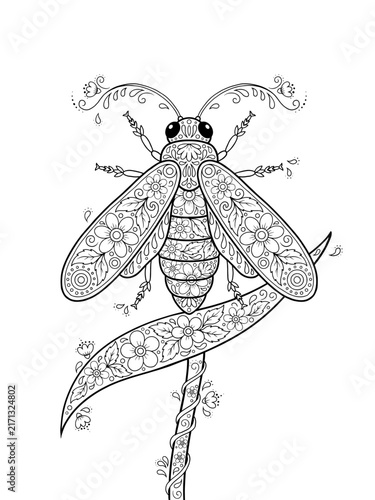 Ornamental caddisfly insect on a reed leaf adult coloring page with floral pattern line art vector illustration