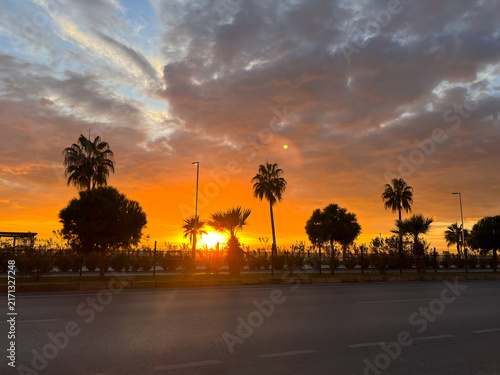 Tropical sunset over beach with silhouetted palm trees and orange sky