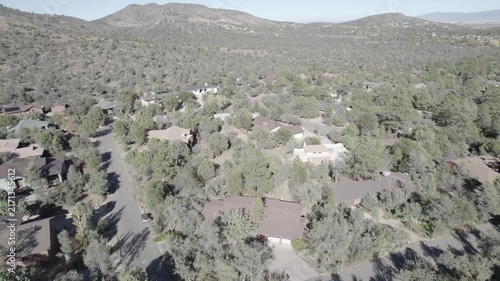 Hillside residential neighborhood with trees and houses