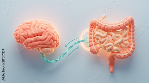 Detailed 3D illustration shows the intricate gut-brain axis communication. This vital connection influences neurological function and digestive health through a complex network.