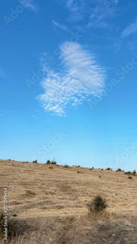 A scenic view of a dry, golden grassy hill tilting upward toward a vibrant blue sky filled with soft, white cumulus clouds.