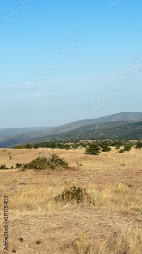 A sweeping panoramic view across rolling golden hills and dry grassy fields leading toward distant hazy mountains under a clear blue sky.