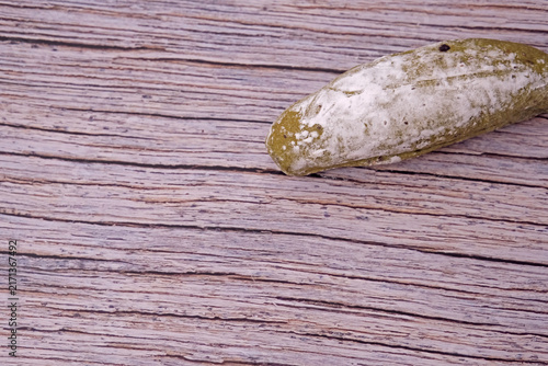 Fresh sourdough dusted lightly with flour rests on wooden surface. Subtle cracks mark its golden crust. Soft lighting enhances texture and warmth. Simplistic background draws focus to baked good