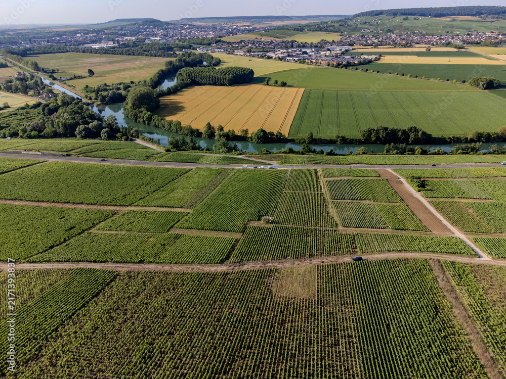 Obraz premium Aerial view, Cumieres and Hautvillers champagne vineyards in Marne Valley with rolling green hills, chalk terroir, summer landscape, traditional methode champenoise production.
