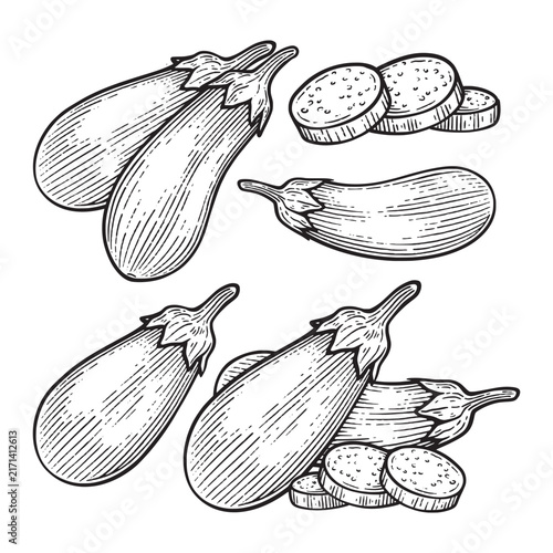 Set of hand drawn eggplant illustration. Eggplant engraving style line art collection