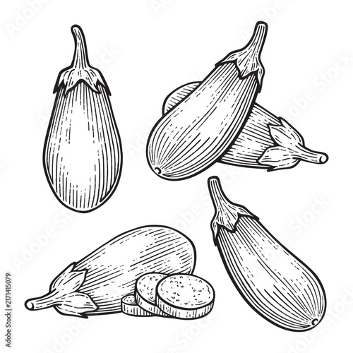 Set of hand drawn eggplant illustration. Eggplant engraving style line art collection