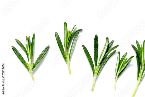 Fresh rosemary on a white background