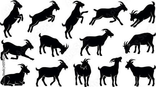 Domestic goat silhouette icon set with black farm animal ram symbols for country livestock agriculture and ranch branding vector.