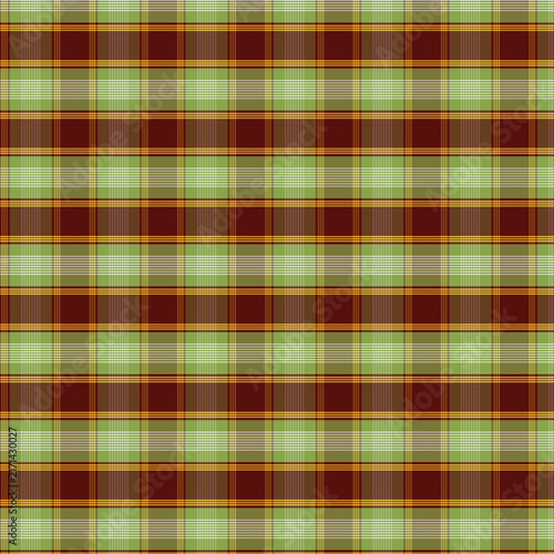 Tartan Plaid Pattern Background in Sage Red Gold
