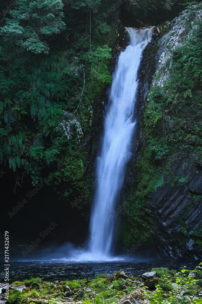 Fototapeta premium 日本静岡県伊豆半島の浄蓮の滝