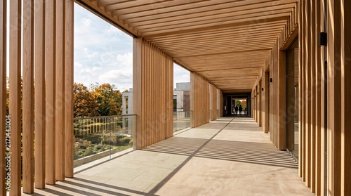 Contemporary wooden louvered walkway facility featuring strong linear sunlight shadows overlooking an autumn park landscape