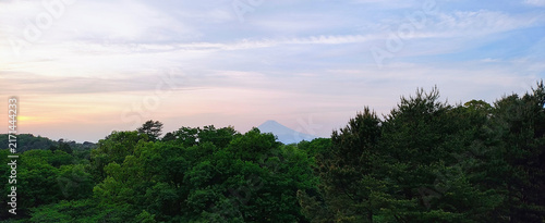 Cuadro en lienzo Mount Fuji silhouette at pastel twilight beyond a green forest