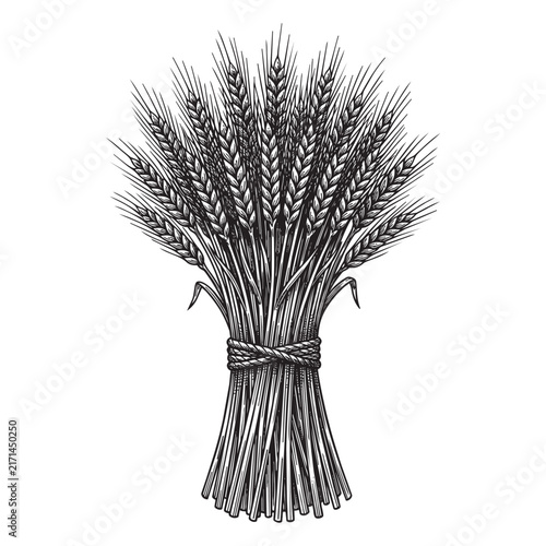 Bild auf Leinwand wheat sheaf bundle tied with rope harvest vintage engraving illustration vector