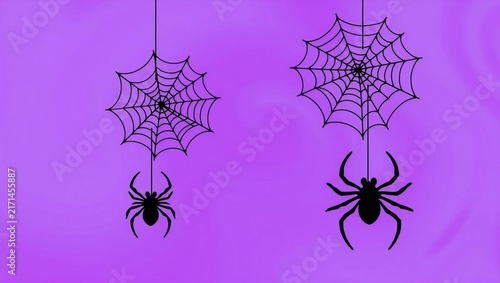 Two black spiders hanging from spider webs on a purple background