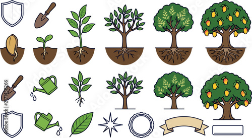 Mango Tree Lifecycle Vector Asset Sheet Featuring Plant Growth Stages From Seed and Sapling to Fruiting Fruit Orchard with Vintage Branding Ribbon Banners