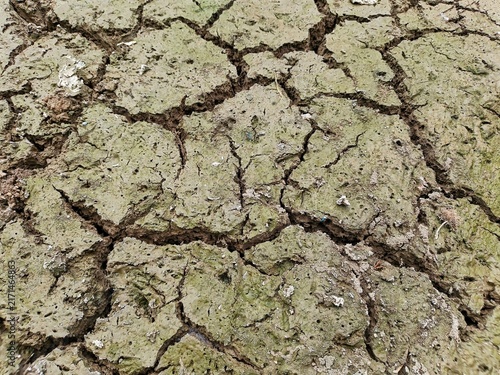 фотографія close up of cracked ground surface due to prolonged hot weather