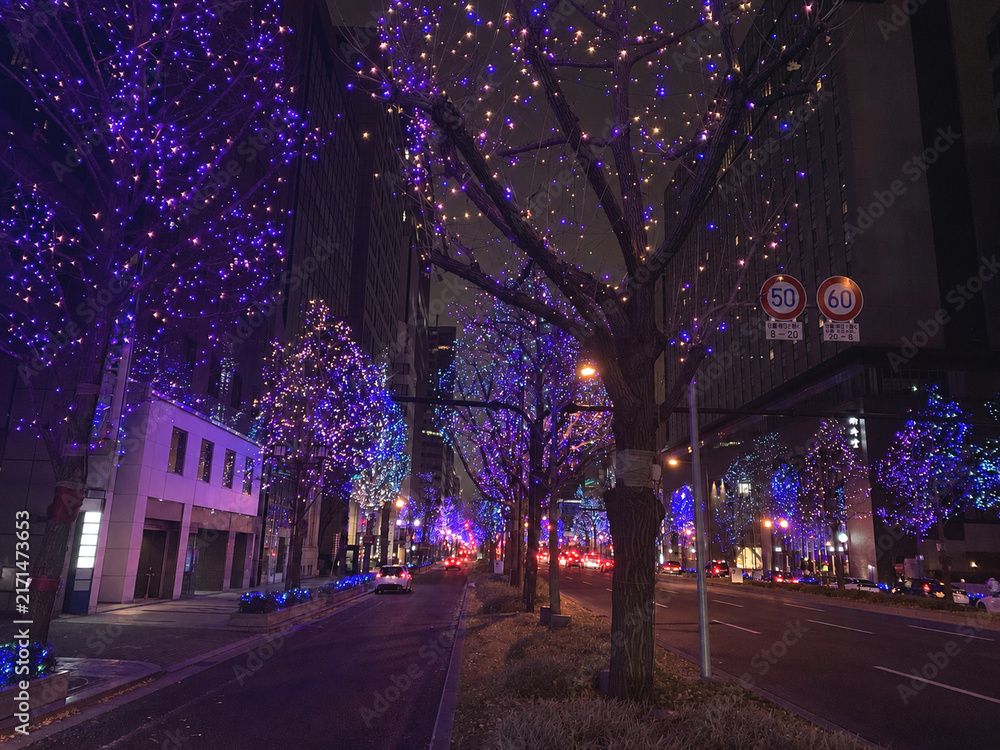 Naklejka premium Colorful winter illumination on a city street in Osaka, Japan