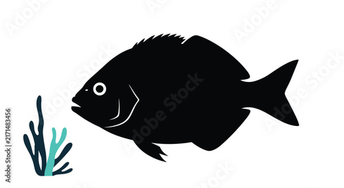 Silhouette of a large fish swimming in the water near a small piece of dark seaweed against a white background.