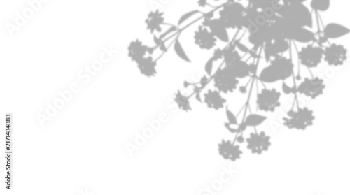 Abstract floral shadow on transparent background