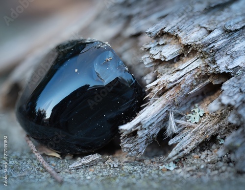 Obsidian Stone Placed Beside Weathered Driftwood, Contrasting Glassy Volcanic Luster Against Rough Aged Grain