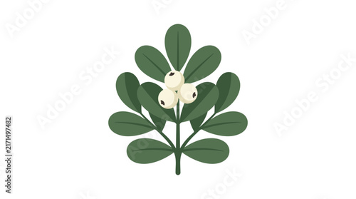 Christmas Botanical Illustration Featuring Holly Mistletoe Poinsettia and Pine Branch Elements for Holiday Floral Decor and Festive Wreath Designs