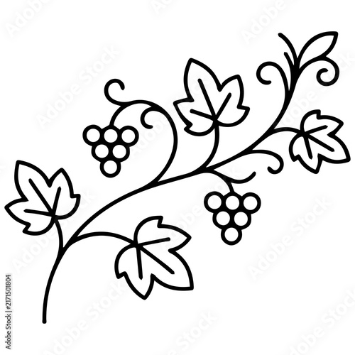 Simple black outline drawing of a grape vine with leaves and fruit clusters illustration monochrome
