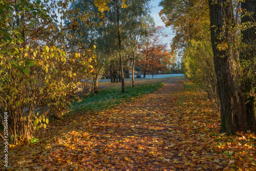 An Alley in the Catherine Park of Tsarskoye Selo on a sunny autumn day, Pushkin, St. Petersburg, Russia