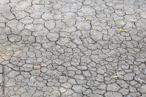 Cuadro en lienzo Dry cracked earth surface showcasing drought conditions in a barren landscape un