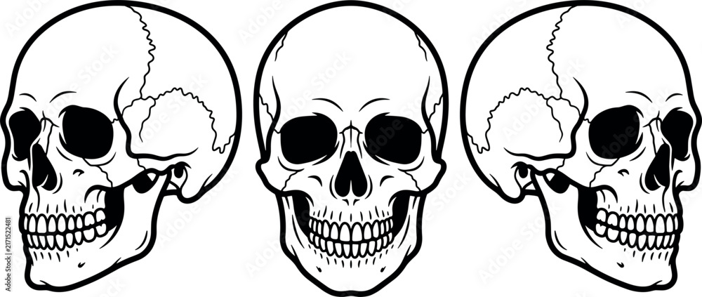 Fototapeta premium Human Skull Vector Illustration Set with Front and Side Profile Views in Black and White Outline Style for Anatomy and Halloween Graphic Designs
