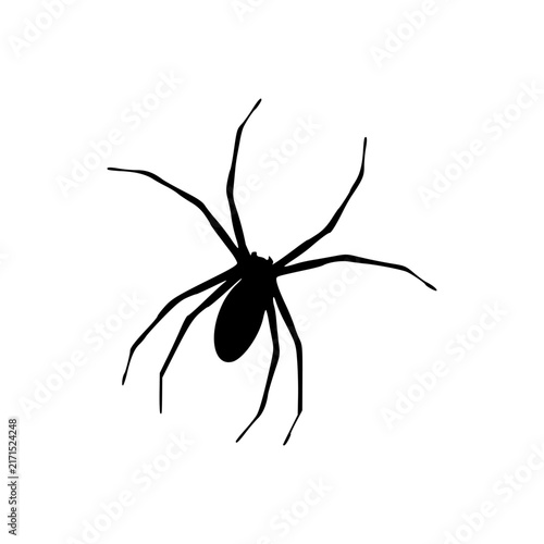 Detailed solid black spider silhouette vector icon with eight creepy legs and rounded body set against a clean white background perfect for Halloween graphic designs