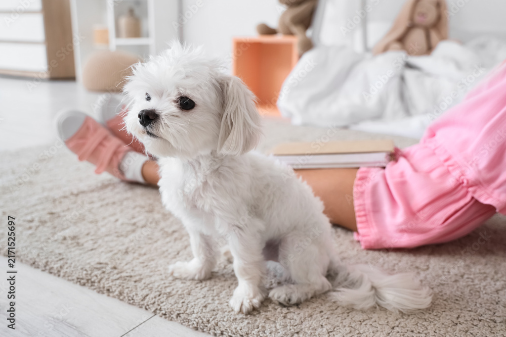 Fototapeta premium Cute little girl with Maltese dog and book sitting on floor at home, closeup
