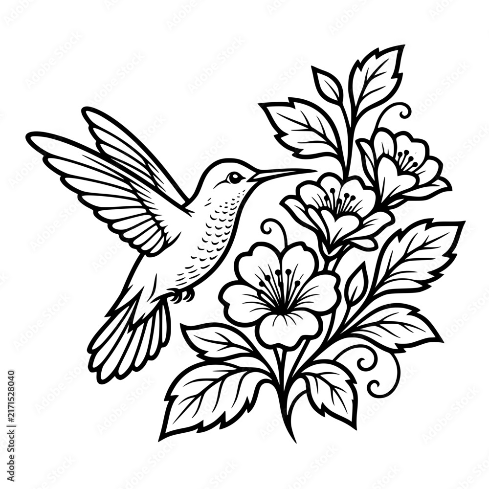 Fototapeta premium Hummingbird Hovering Beside Blooming Flowers Black and White Vector SVG