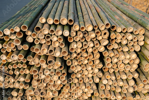 Stacked Bamboo Poles with Hollow Cut Ends and Natural Texture