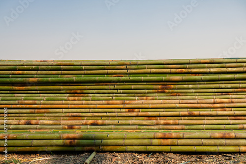 Stacked Green Bamboo Poles Against Blue Sky