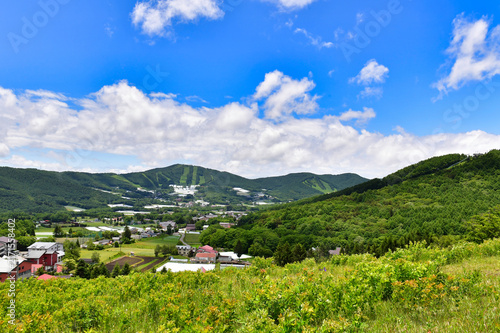 Naklejka 初夏の菅平高原
