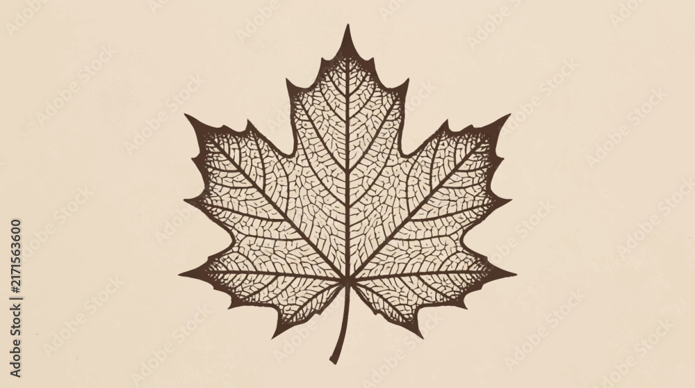 Fototapeta premium Intricate Skeleton Maple Leaf Illustration with Fine Detailed Veins on a Minimalist Vintage Textured Background for Autumn Design