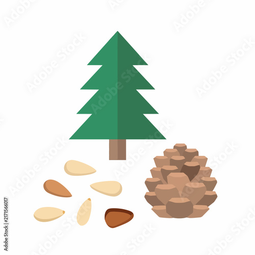 Green Christmas tree with assorted holiday cookies and nuts.