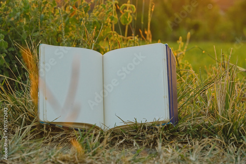 Fotografía Blank open book mockup resting on green grass outdoors in golden hour warm light