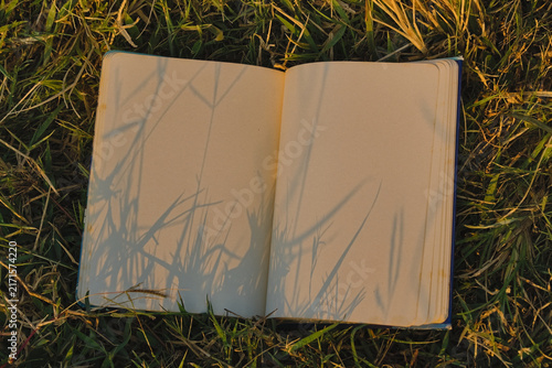 Cuadro en lienzo Blank open notebook with plant shadow overlay on grass, golden hour sunlight